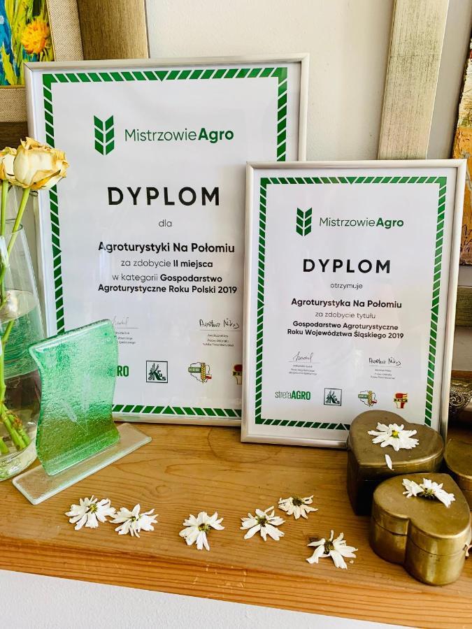 Agroturystyka „Na Polomiu” Istebna Eksteriør billede